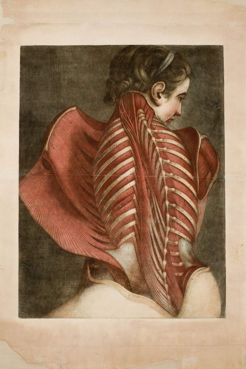 La révélation du sublime dans le corps humain. Une exposition au Palazzo delle Esposizioni à Rome