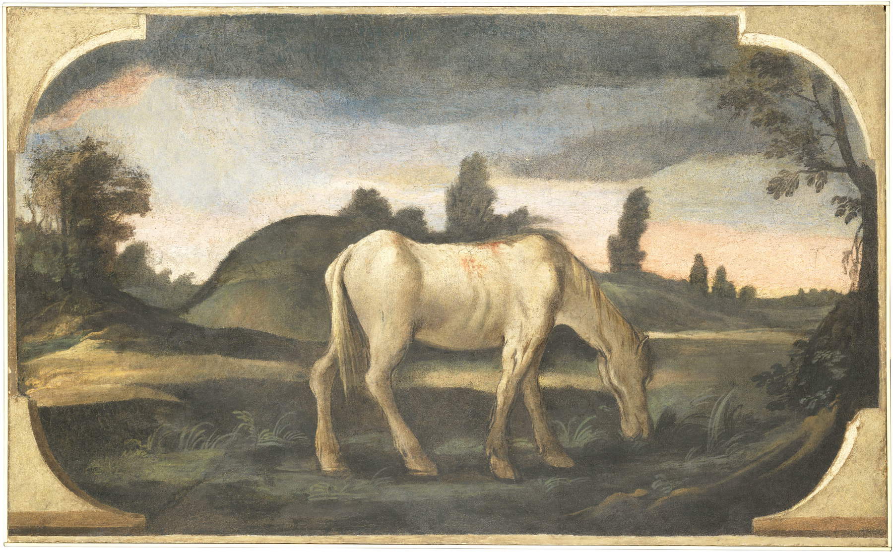 Guercino, Das weiße Pferd, genannt La rozza (1615; Fresko; Cento, Pinacoteca Civica)