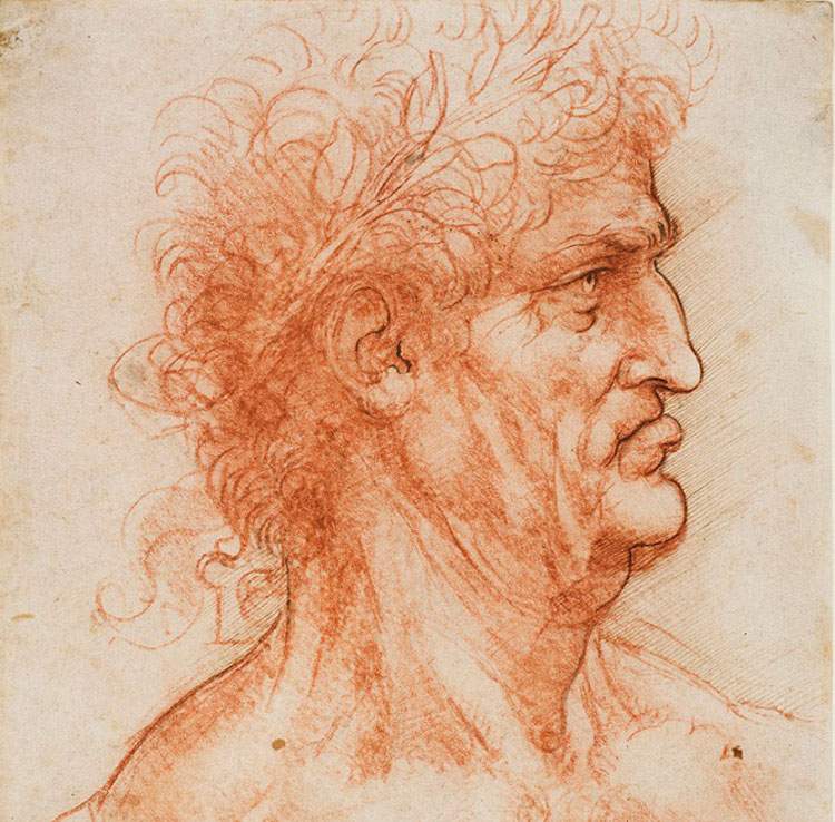 At the Royal Library of Turin, an exhibition illustrates Leonardo's time