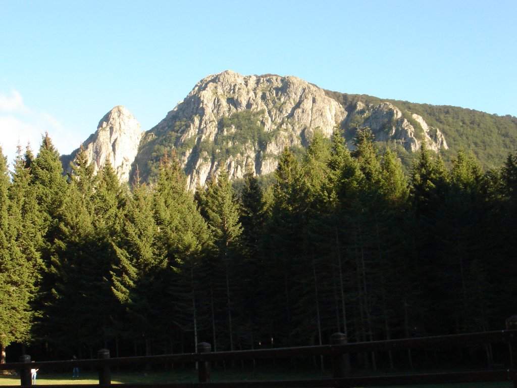 Parcs, la Ligurie élimine 540 hectares de zones protégées : 2,4 % des quatre parcs supprimés.