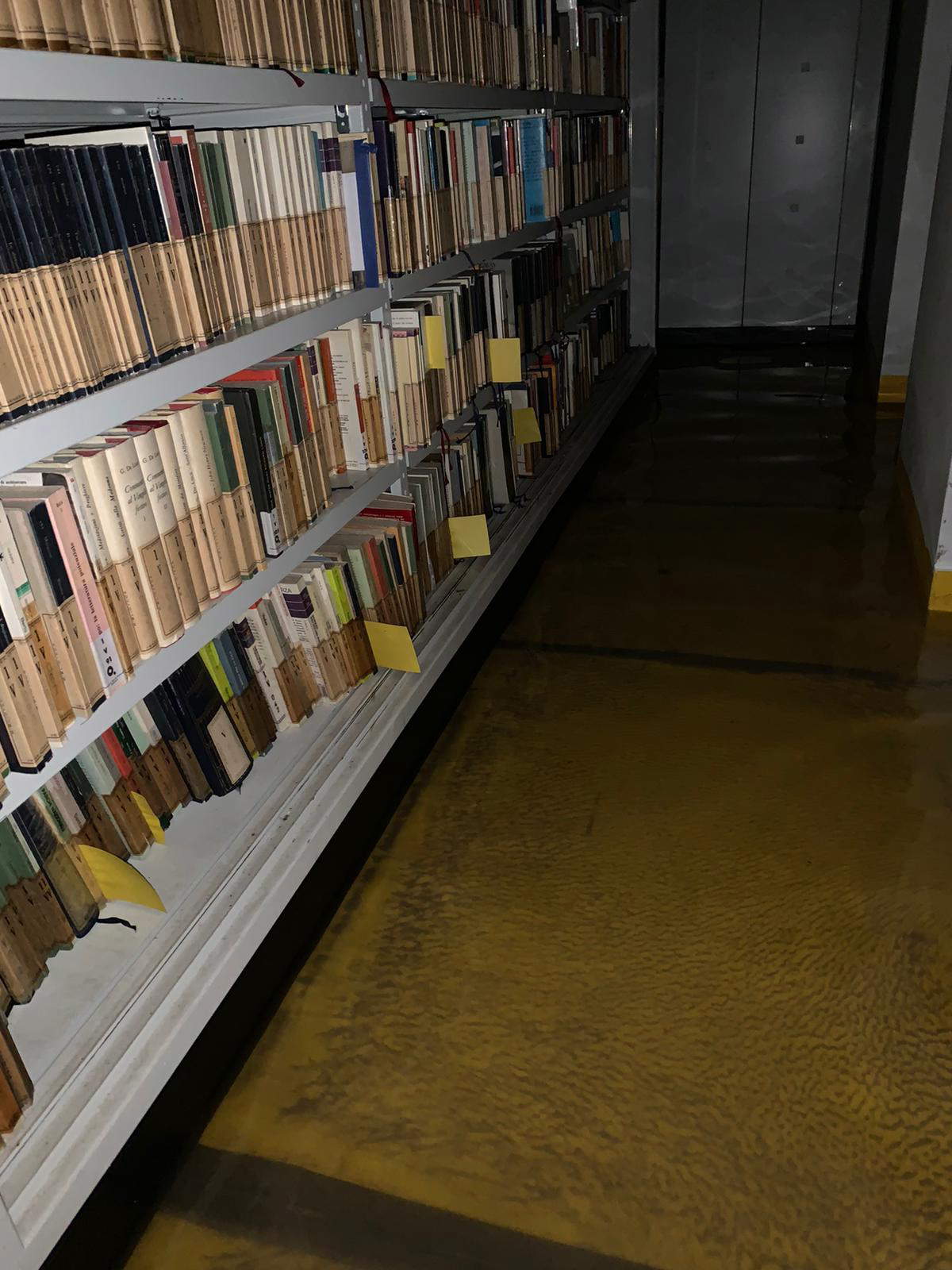 High water at Querini Stampalia