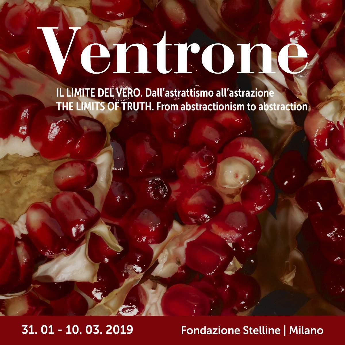 Luciano Ventrone, the Caravaggio of the 20th century, on display at Palazzo delle Stelline, Milan