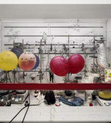 Thomas Struth protagonista alla Fondazione MAST con la mostra “Nature &amp; Politics”