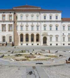 I cani di Velasco Vitali sono in mostra alla Venaria Reale nella rassegna &ldquo;Branco&rdquo;