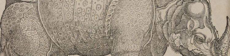 Le Rhinoc&eacute;ros d'Albrecht D&uuml;rer. Origine et fortune du pachyderme le plus c&eacute;l&egrave;bre de l'histoire de l'art
