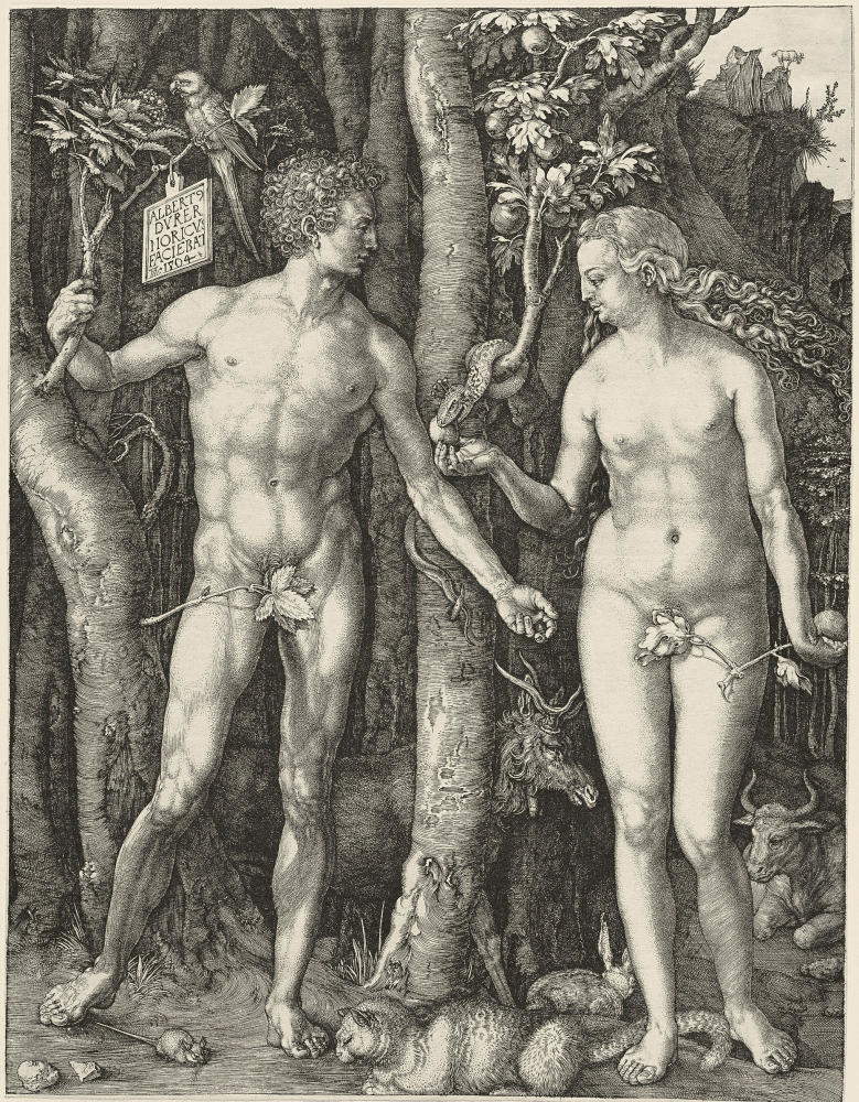 Albrecht Dürer, Adamo ed Eva (Il Peccato originale) (1504; bulino, 249 x 191 mm, esemplare privo di margini; esemplare di III stato su tre, con caratteristiche simili alle varianti A, B o F secondo Meder; iscrizioni: nel cartiglio, in alto a sinistra “ALBERT / DVRER / NORICVS / FACIEBAT / [Monogramma AD] 1504”; filigrana: testa di bue sormontata da una freccia - M. 62; Collezione privata, Brescia)