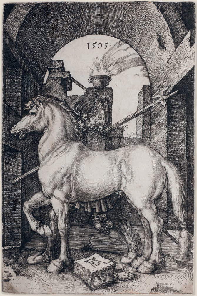 Albrecht Dürer, Il piccolo cavallo (1505; bulino, 165 x 108 mm, esemplare privo di margini; esemplare di unico stato, in variante A secondo Meder; iscrizioni: in alto al centro la data; in basso al centro il monogramma AD; filigrana: testa di toro e triangolo - M. 62; BR. 14881; Collezione privata)