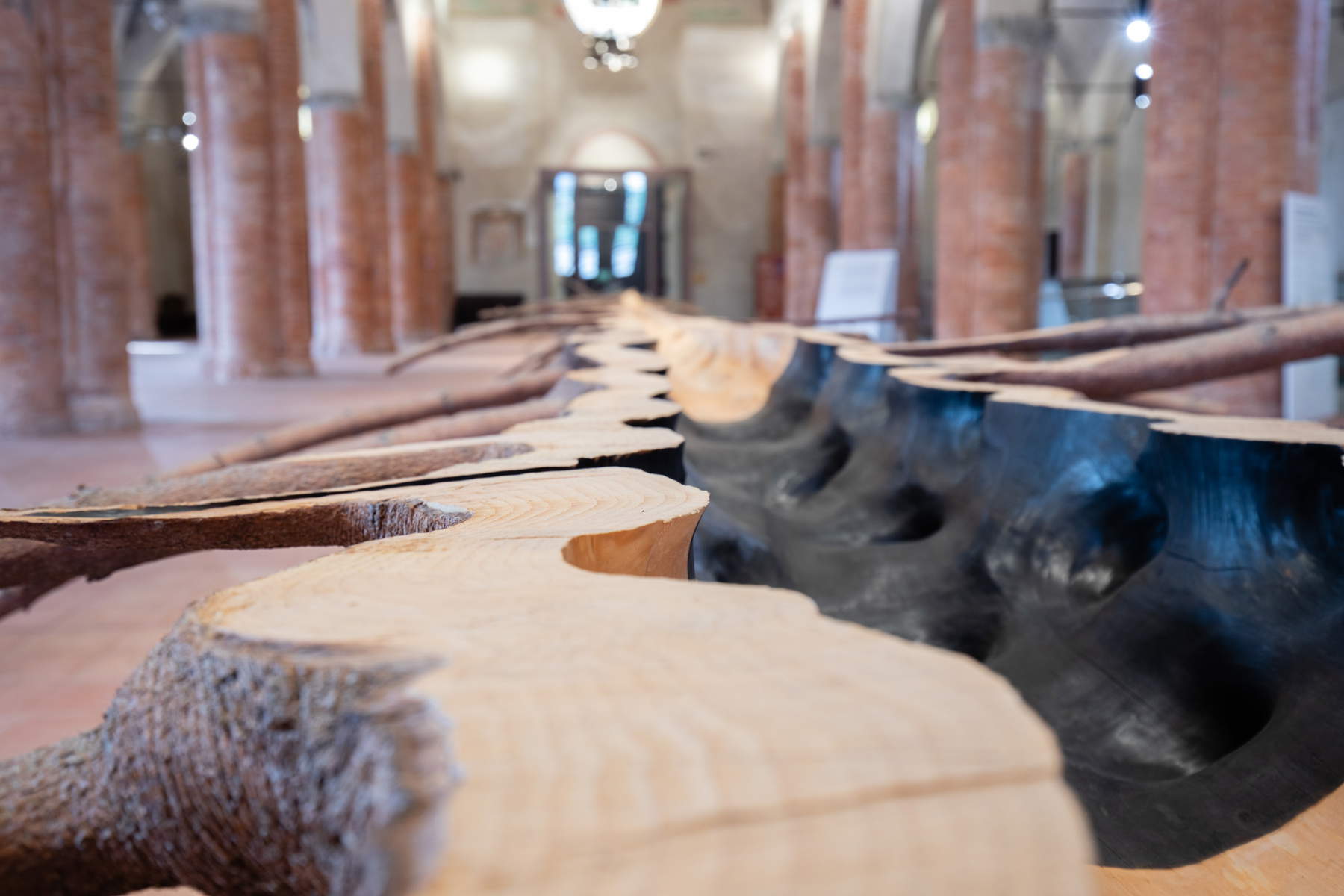 Giuseppe Penone, Matrix (2015 ; bois de sapin et bronze, 110 x 250 x 3000 cm ; Collection privée). Vue de l'exposition, Incidences du vide @ Cuneo, église de San Francesco.