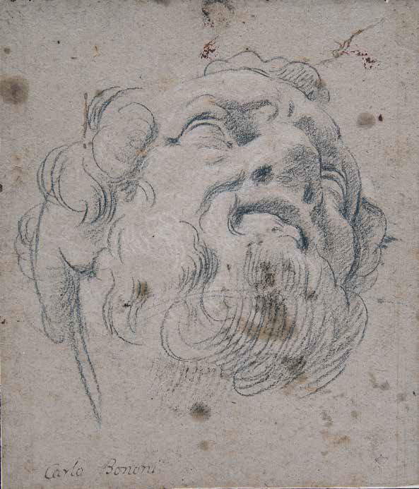 Carlo Bononi, Testa maschile (1616-1617; pietra nera, gessetto bianco, carta marrone, controfondato, 236 x 205 mm; Milano, Pinacoteca di Brera, Gabinetto Disegni e Stampe, Inv. 173)
