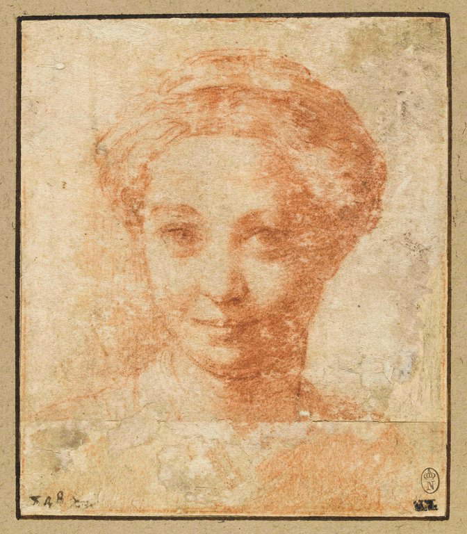 Parmigianino, Étude pour un visage féminin (vers 1530 ; sanguine sur papier, 101 x 87 mm ; Paris, Louvre, Cabinet des Dessins, inv. 6523)