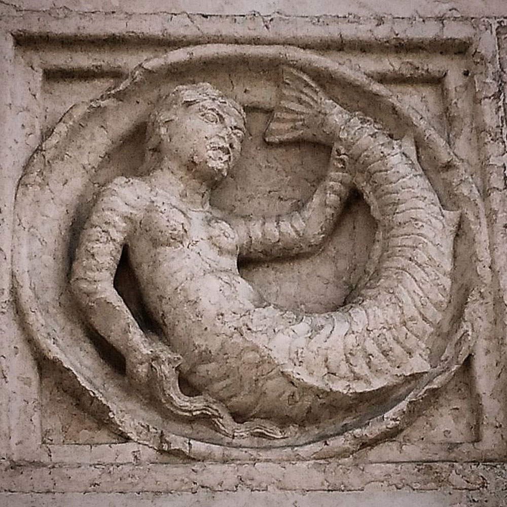 El azulejo de la sirena. Foto Créditos Francesco Bini
