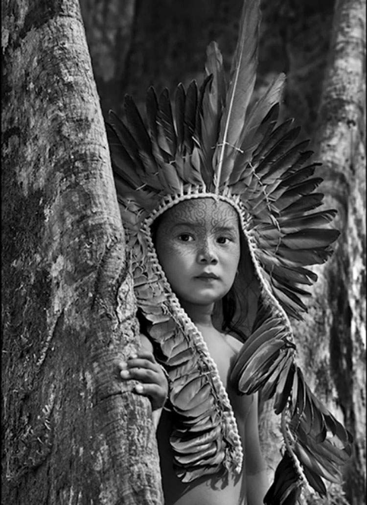 Salgado lance un appel pour sauver les peuples indigènes d'Amazonie. 