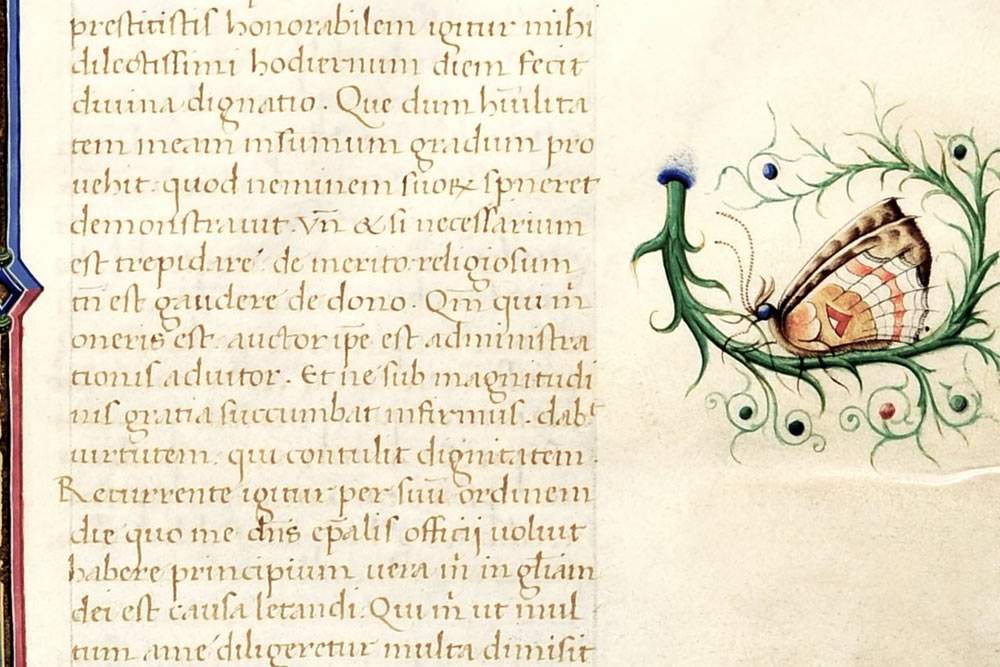 Cesena, deux splendides codex du XVe siècle exposés à la bibliothèque Malatesta