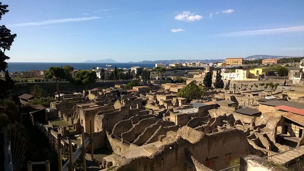 Extraordinary discovery at Herculaneum: human neurons from an eruption victim