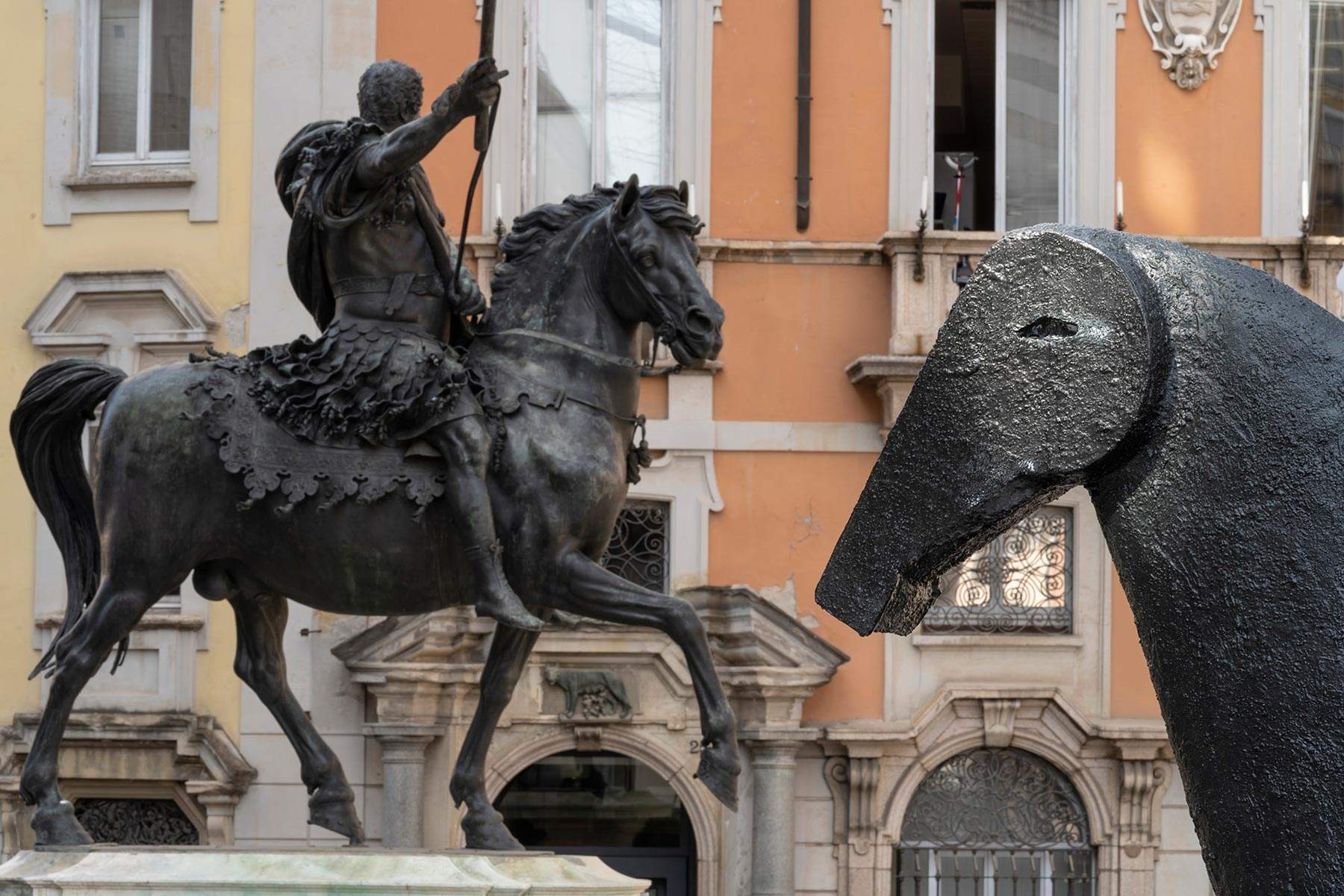 Piacenza, horses in confrontation: Paladino 