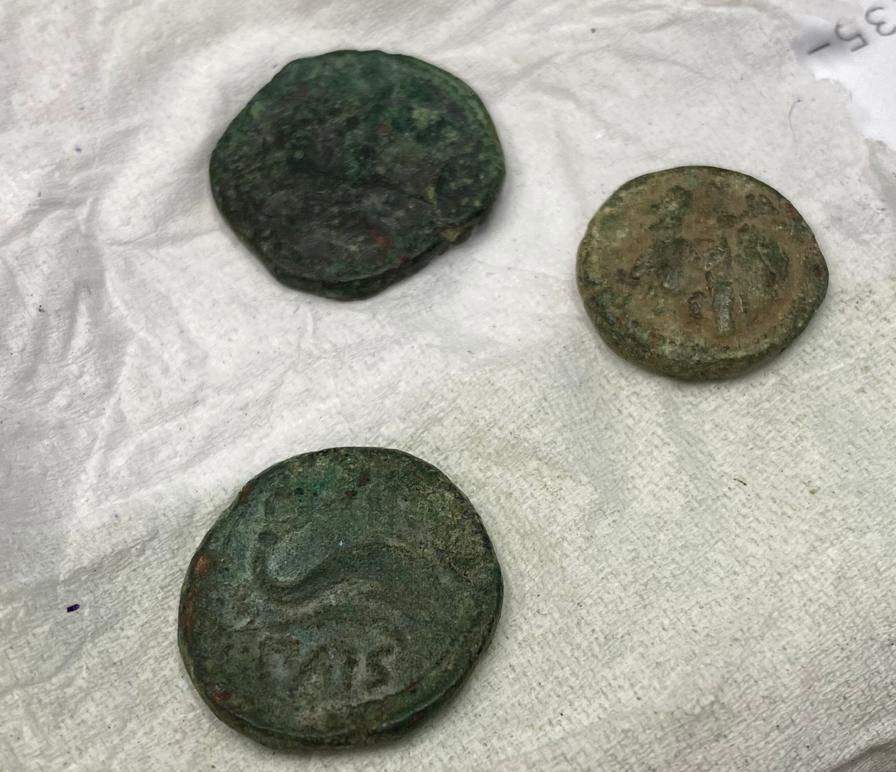 Anonymous person returns three ancient coins to Paestum Archaeological Park