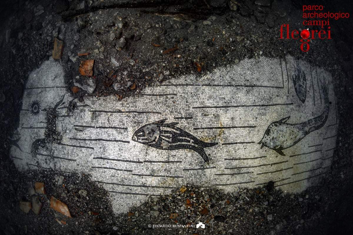 Campi Flegrei, scoperto un bel mosaico “marino” del III secolo nelle acque del Lacus Baianus 