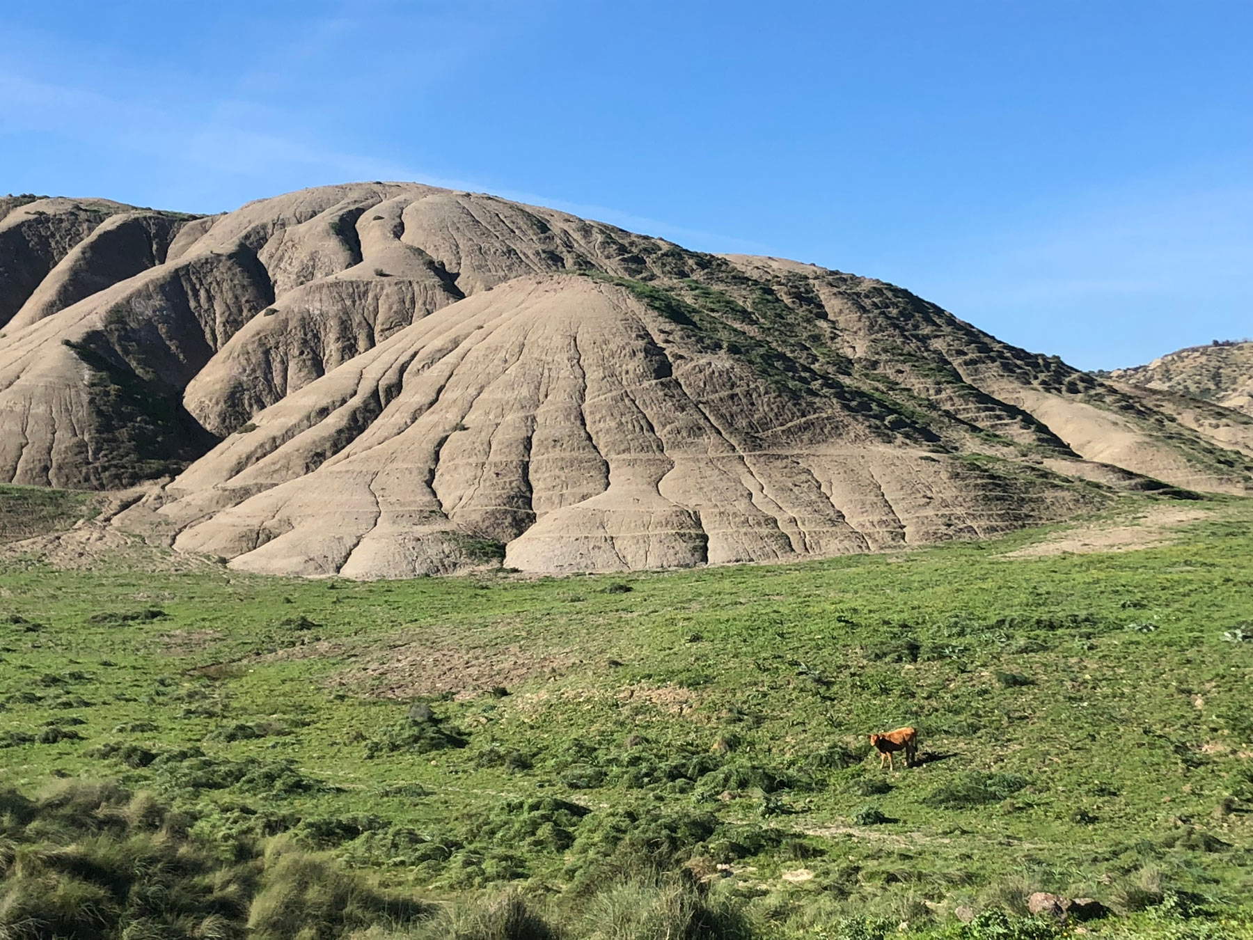 The countryside of Muglia The countryside of Muglia