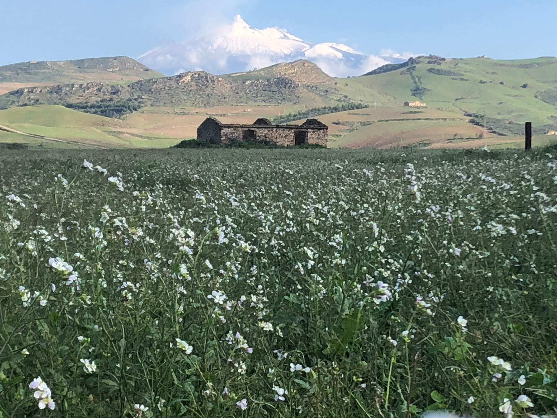 The countryside of Muglia The countryside of Muglia