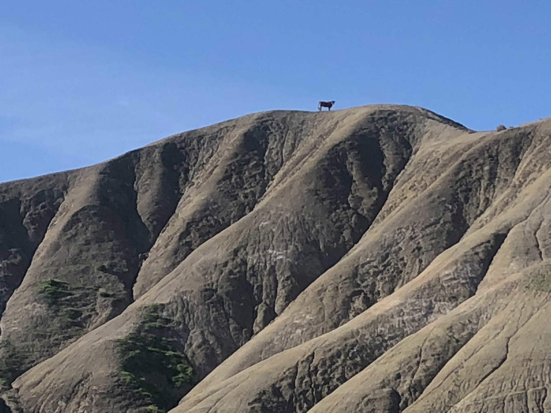 The countryside of Muglia The countryside of Muglia