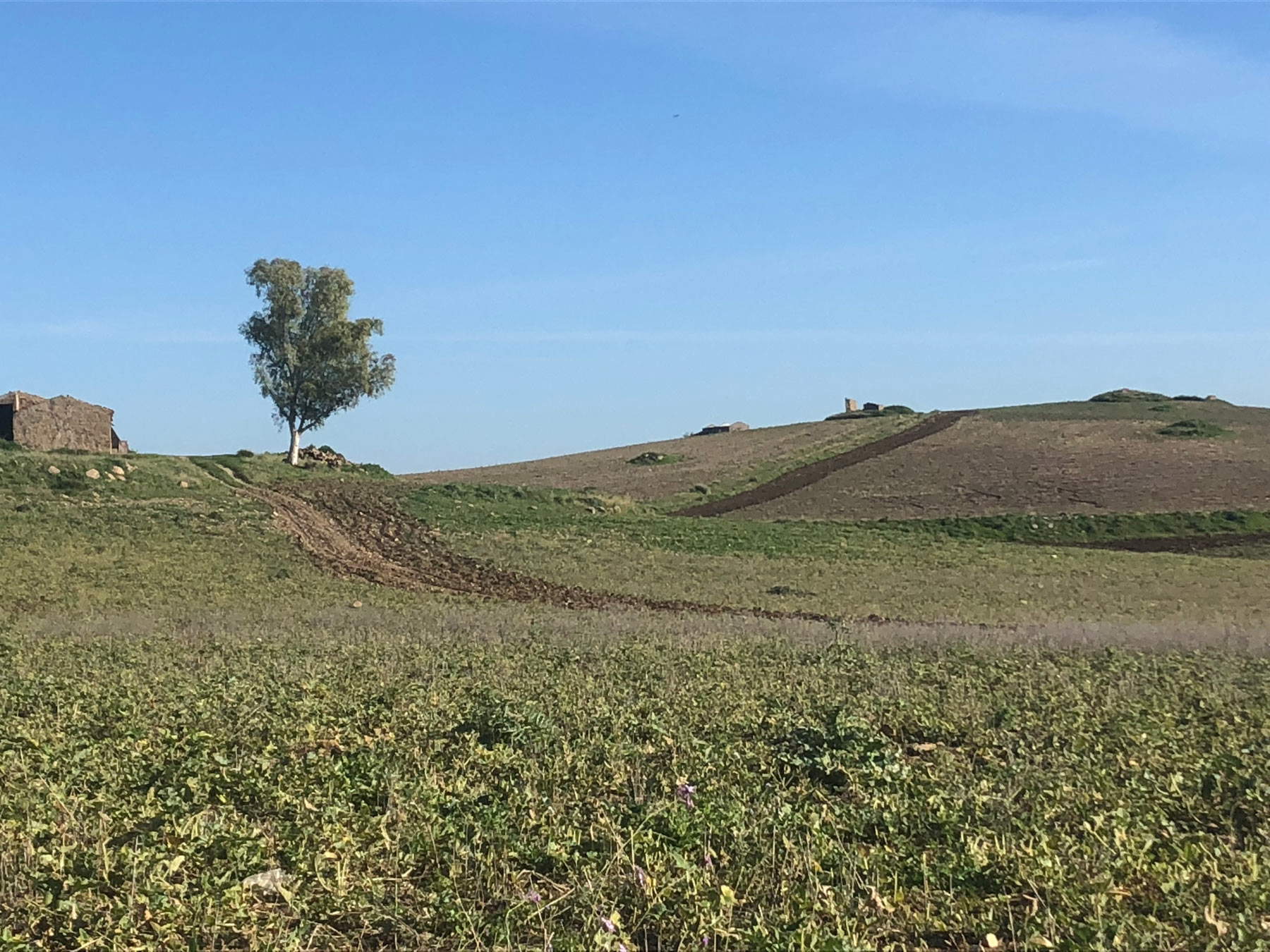 The countryside of Muglia The countryside of Muglia