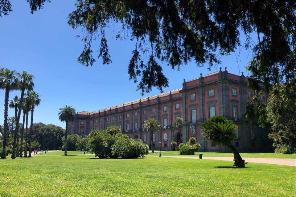 The Capodimonte Museum reopens from June 9. And new regulations planned for the Real Bosco