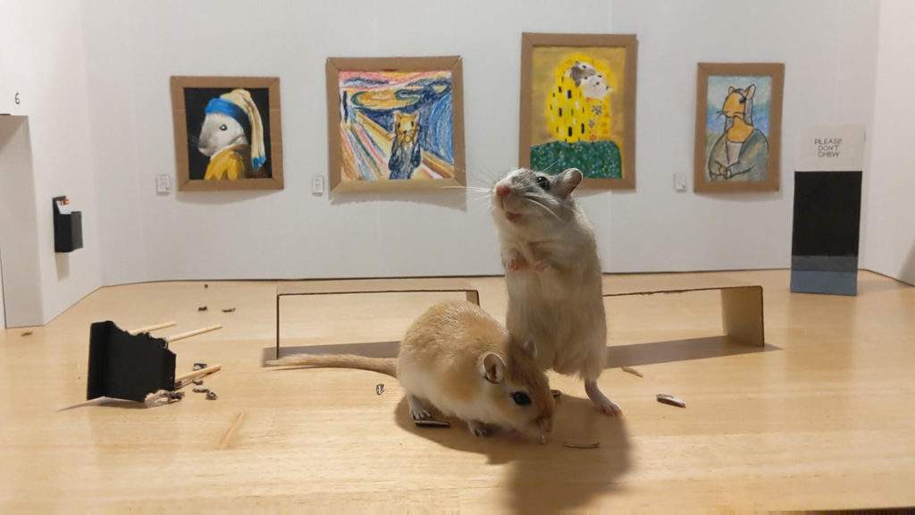 Italian couple in London create a museum for gerbils, and the stunt deplores