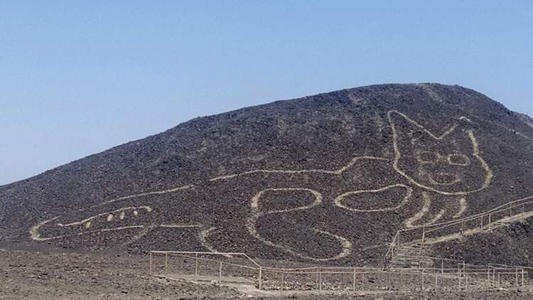 Pérou, découverte d'un nouveau géoglyphe : un félin sur la colline de Nazca