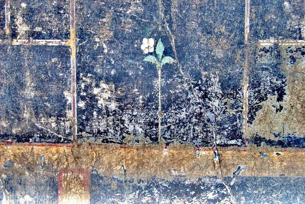 Pompéi, réouverture avec une découverte : la voûte décorée d'un cryptoportique retrouvée