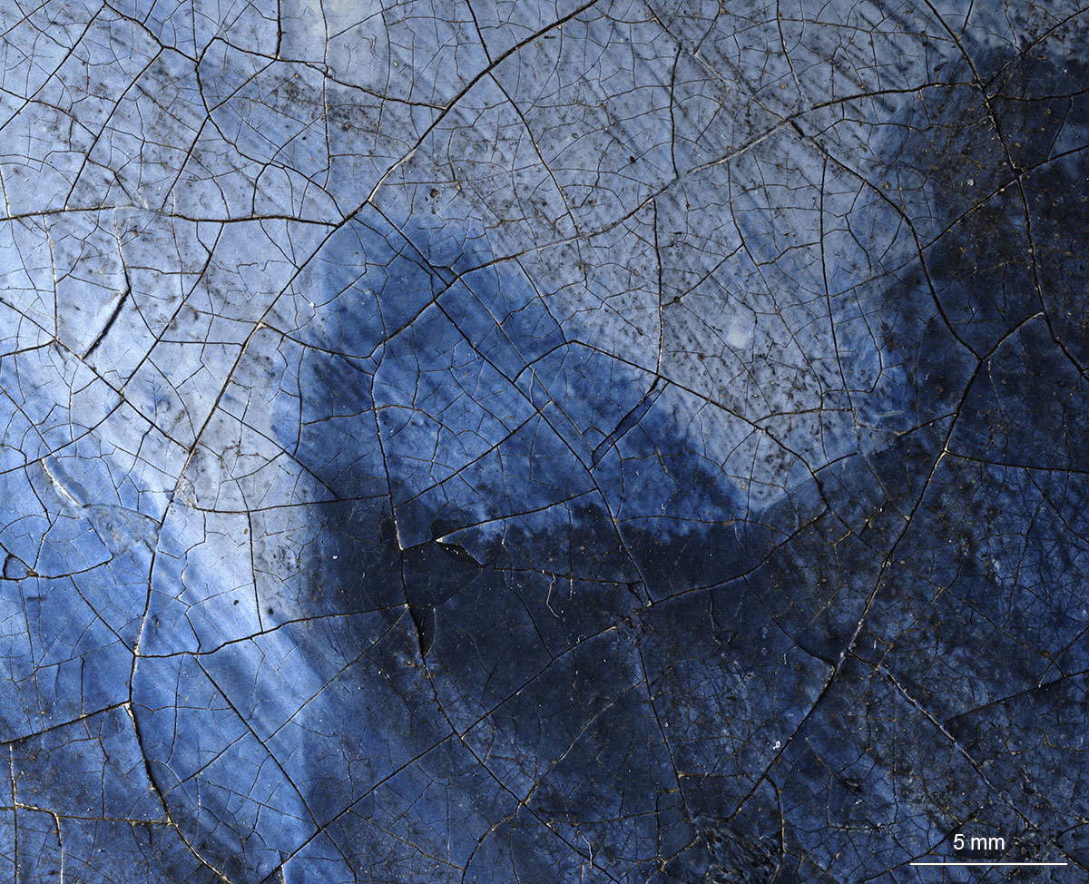 Dettaglio del turbante nella microfotografia digitale 3D (ingrandimento 140x)