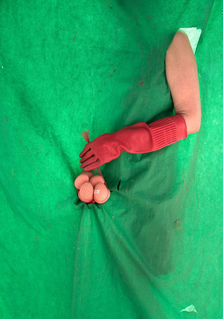 Cristina Vel&aacute;squez, Los huevos en mi casa los puso mi mam&aacute; (2019), aus der Serie The New World, 2019