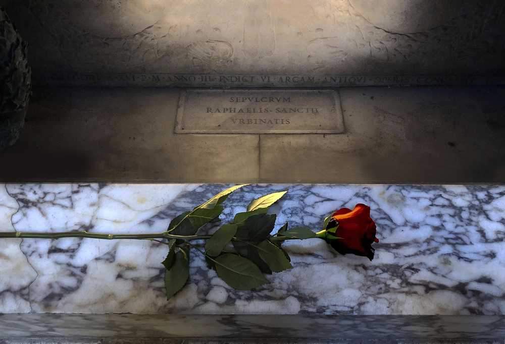 Une rose rouge sur la tombe de Raphaël en souvenir du 500e anniversaire de sa mort