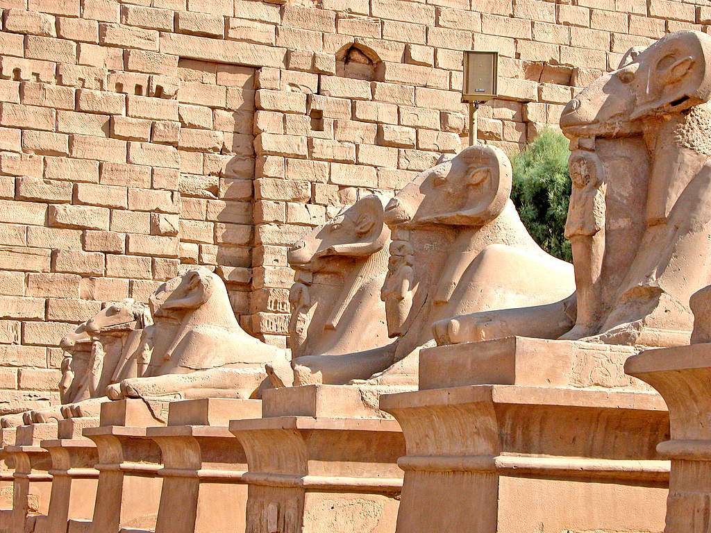 Égypte, quatre sphinx de Louxor déplacés au milieu d'un rond-point du Caire. Les archéologues sont dégoûtés