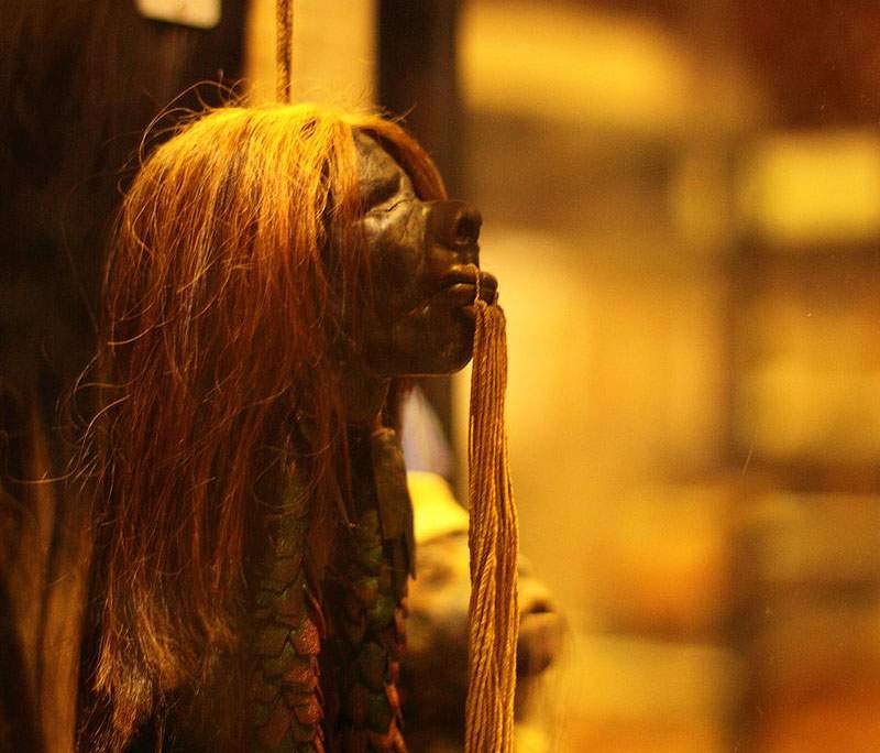 Oxford, museo ritira dalle sue collezioni le teste umane rimpicciolite che ispirarono Harry Potter