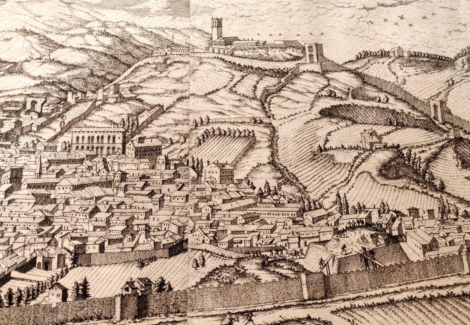 Pitti Palace and Boboli Gardens Pitti Palace and Boboli Gardens