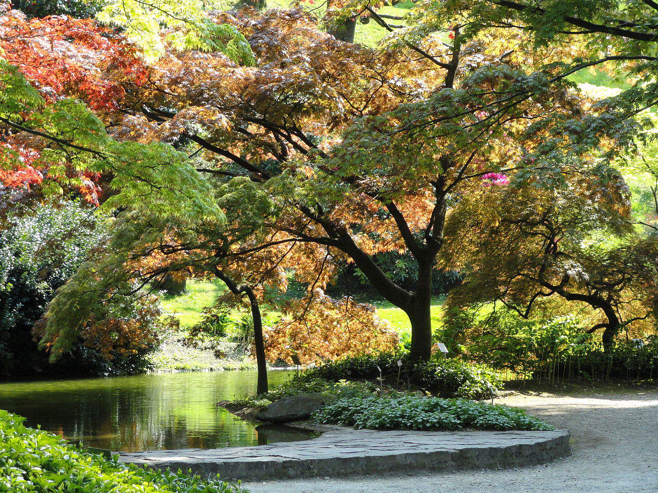 Bellagio, i giardini di Villa Melzi d'Eril