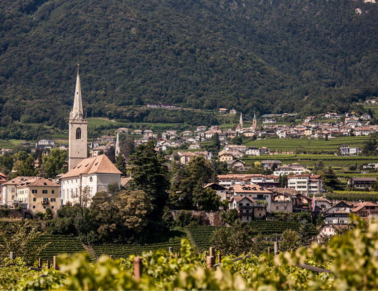 Vue de Kaltern sur la route des vins