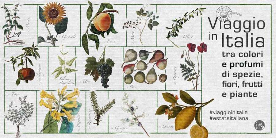 MiBACT launches a Journey to Italy through prints and ancient herbaria. 