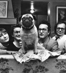 MUDEC inaugure virtuellement l'exposition Elliott Erwitt.Family