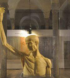 Milan, la Biblioteca Ambrosiana compare Léonard de Vinci et Guido da Vigevano et leurs anatomies en figures.