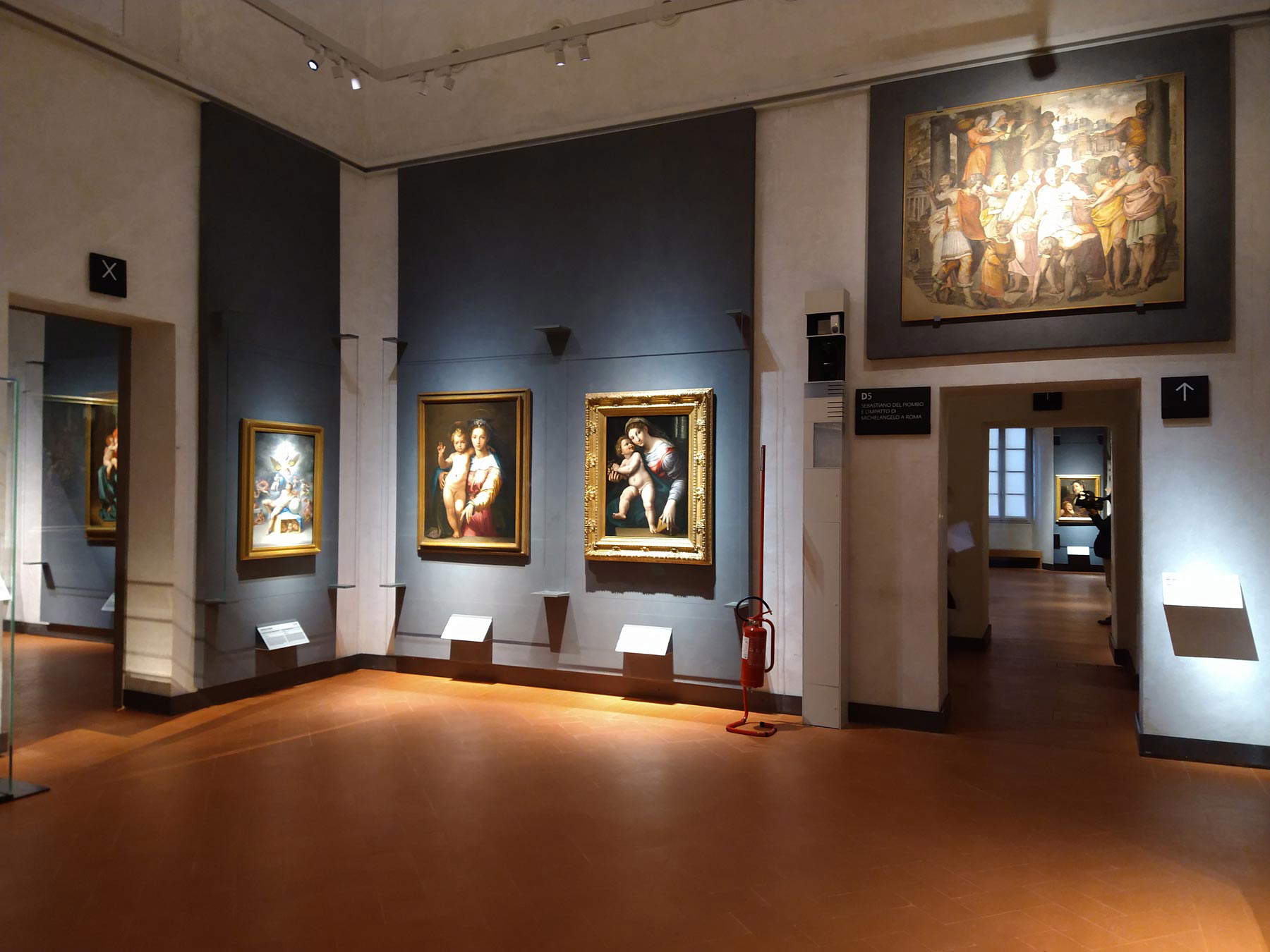 D5: Sebastiano del Piombo e Cinquecento romano
D5: Sebastiano del Piombo e Cinquecento romano