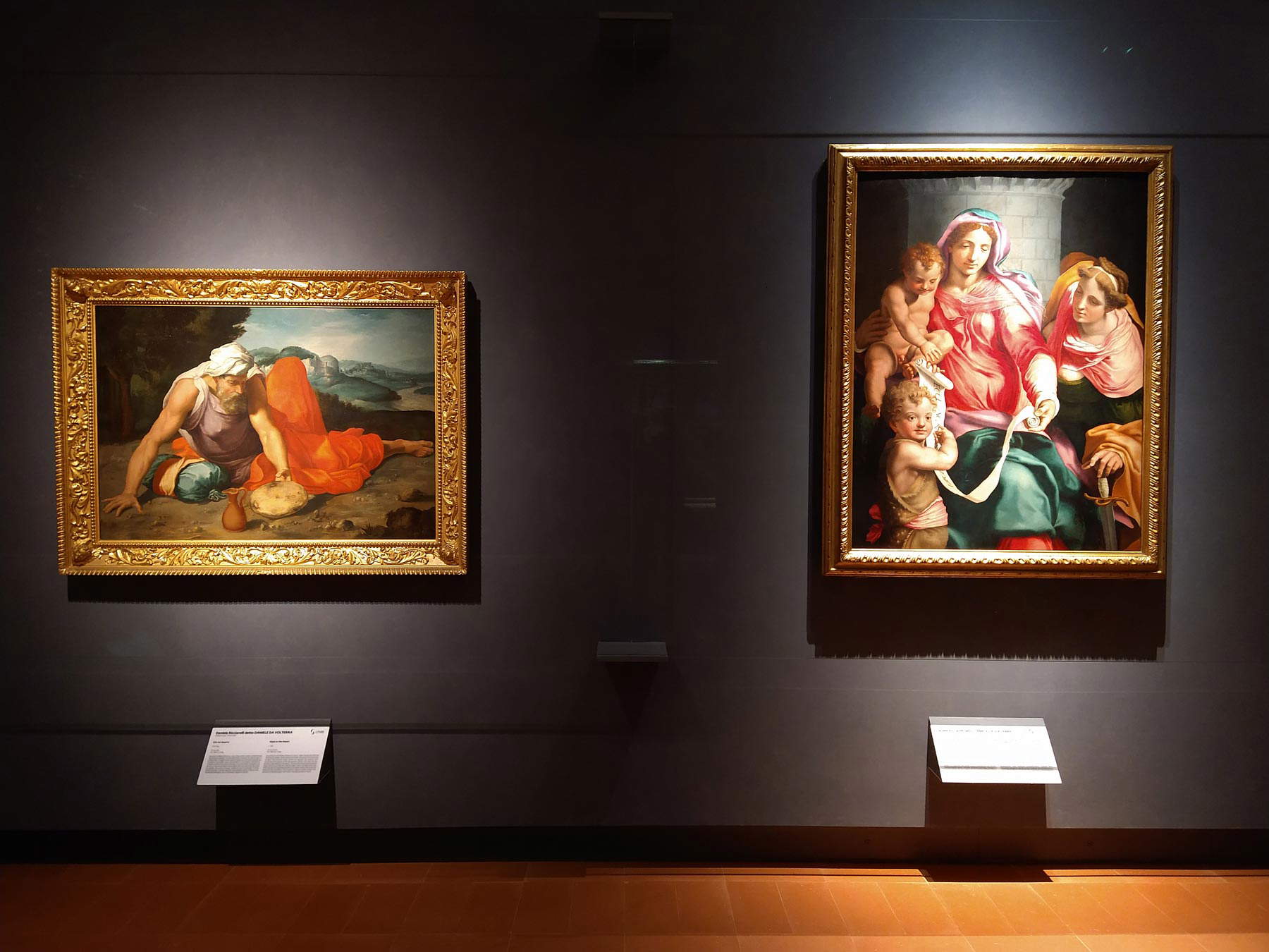 D6: Daniele da Volterra e Francesco Salviati
D6: Daniele da Volterra e Francesco Salviati