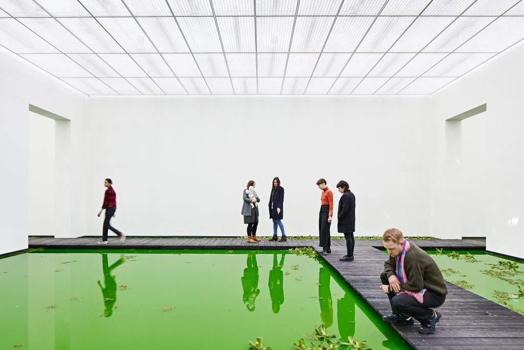 Ã“lafur ElÃ­asson floods Basel's Fondation Beyeler to bring nature inside the museum