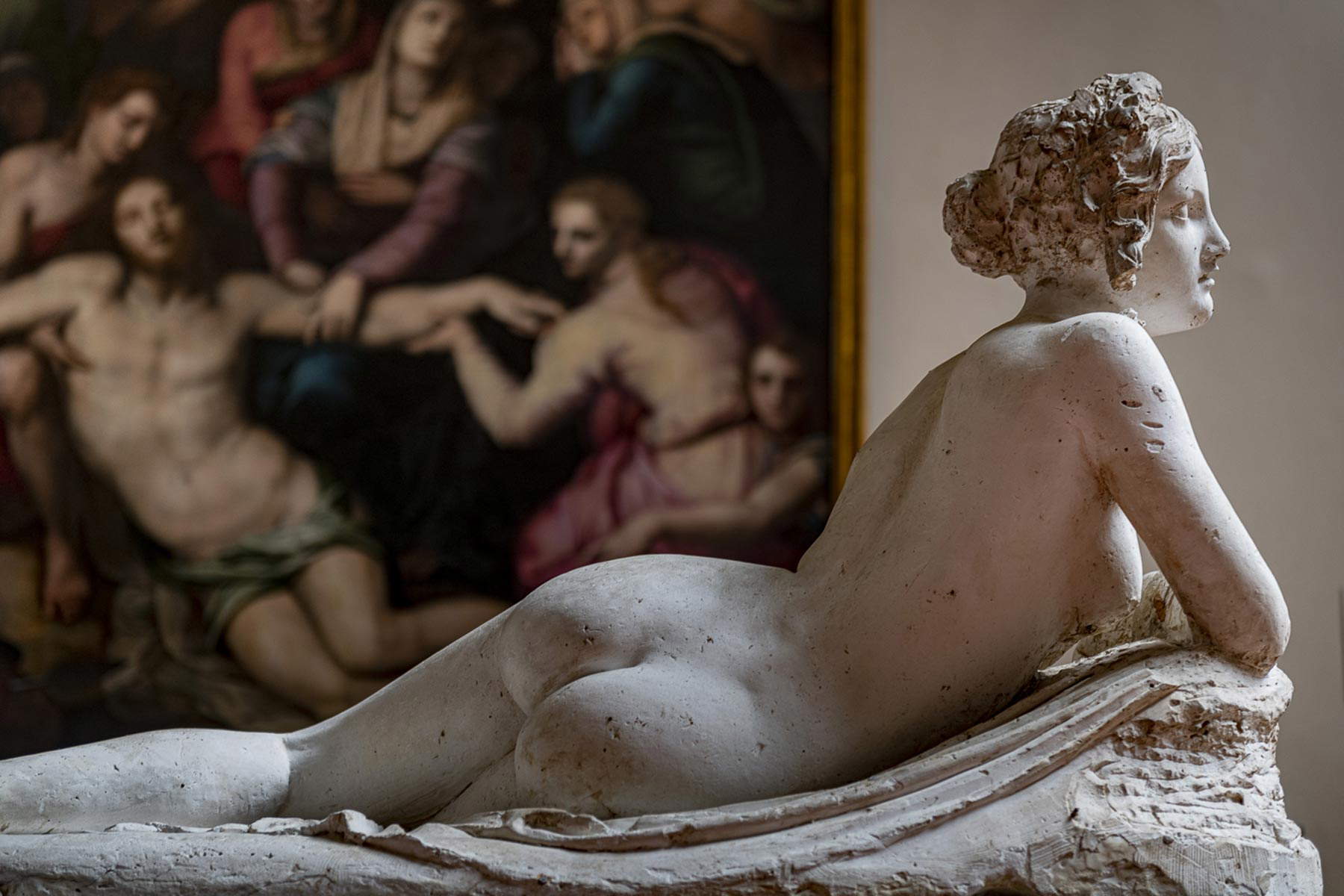 I nuovi allestimenti della Galleria dell'Accademia. Ph. Credit Guido Cozzi
I nuovi allestimenti della Galleria dell'Accademia. Ph. Credit Guido Cozzi