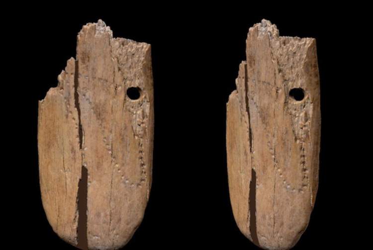 Scoperto in Polonia il più antico gioiello decorato finora trovato in Eurasia: risale a 41.500 anni fa 