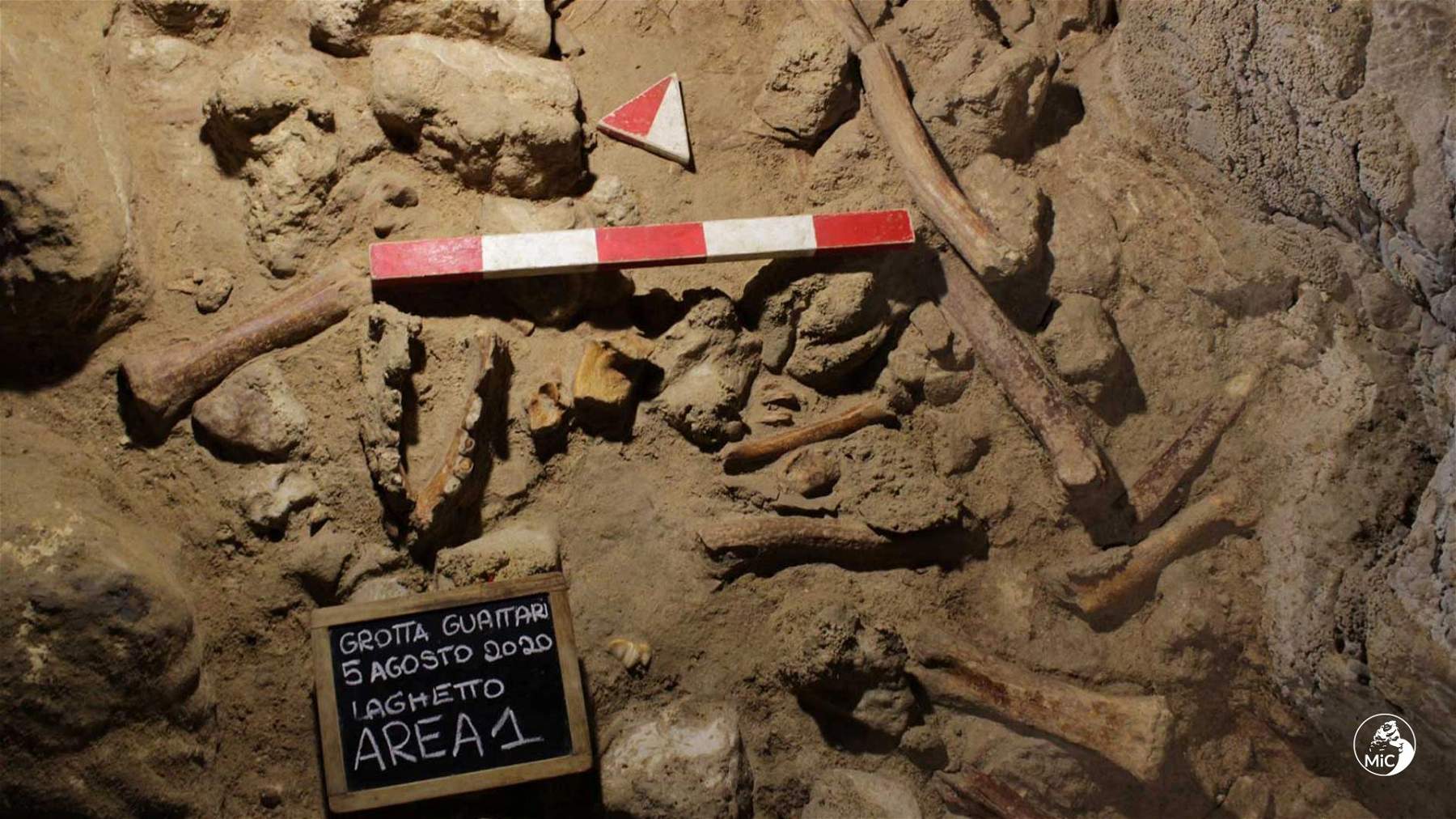 Circeo, les restes de neuf Néandertaliens découverts sur l'important site de Grotta Guattari