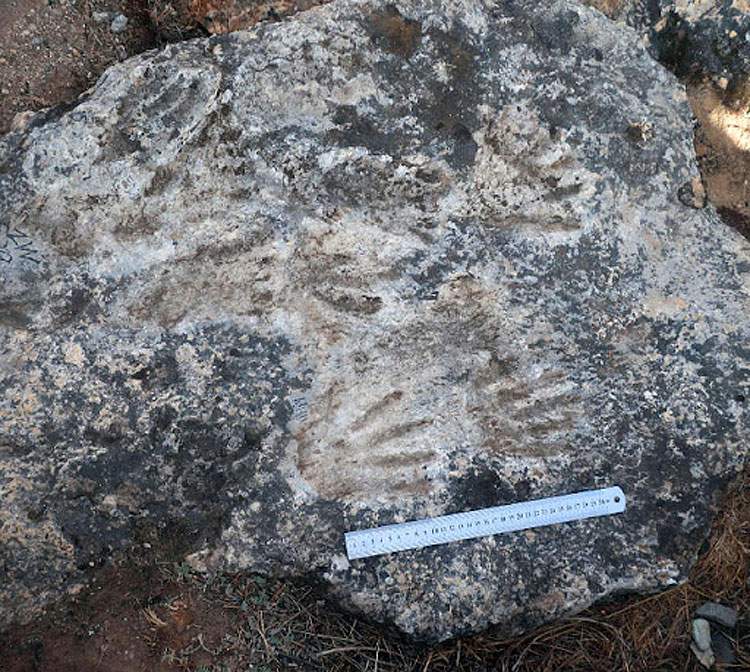 Tibet, 200,000-year-old footprints discovered: possibly the world's oldest rock artwork