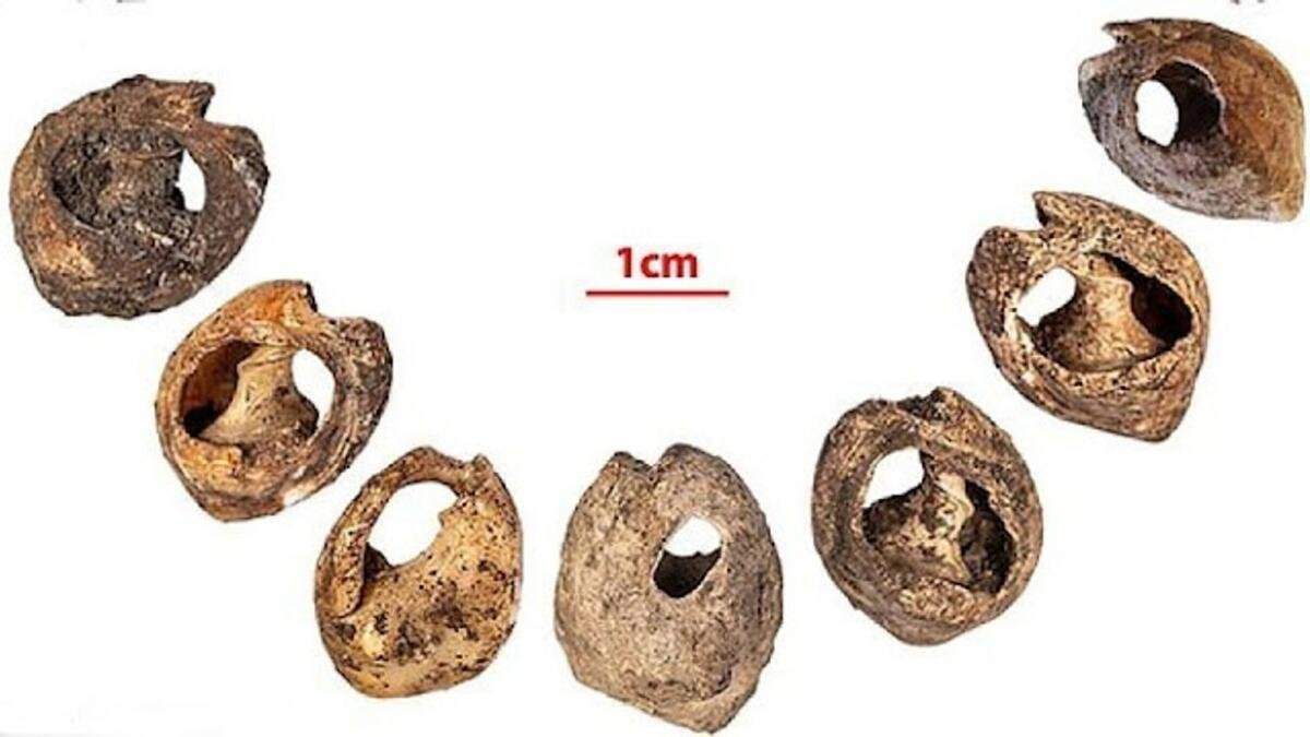 Morocco, jewelry made of shells discovered: believed to be the oldest in the world 