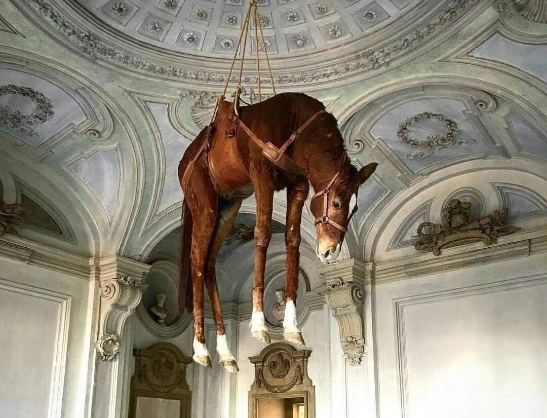 Maurizio Cattelan: major works, themes of his art