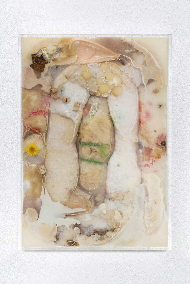 Mimosa Echard, Un bout de toi, Salomon (2020; mixed media, 37 x 26 x 5 cm)